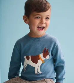 Hot Baby & Toddler Boys French Bulldogs Crew Neck Sweater Sweaters