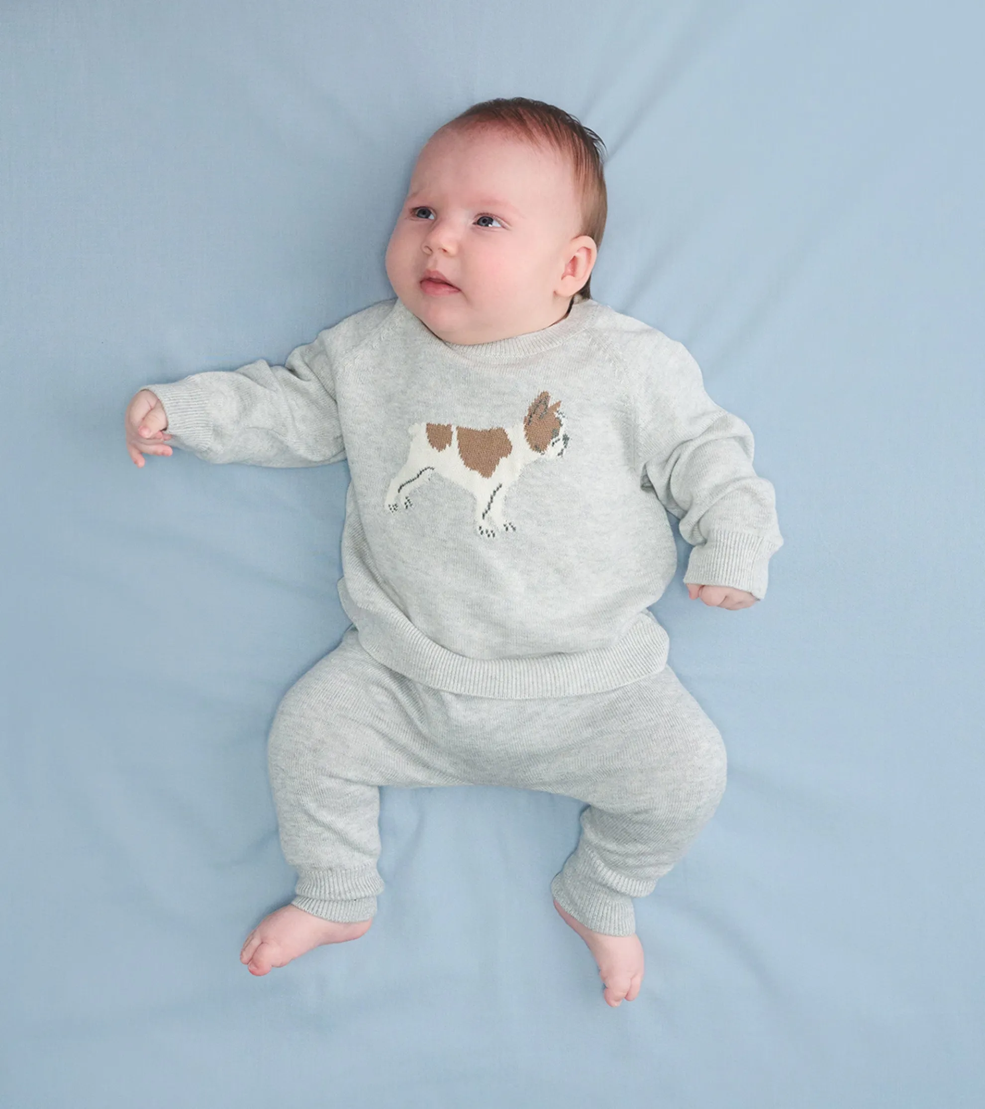 New Baby Boys Little Bulldog Pullover Sweater & Pants Sweaters