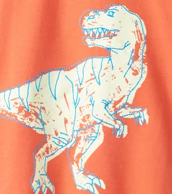 Boys Dino Glow Graphic Tee Tops