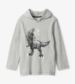 Boys Dino Long Sleeve Hoodie Tee BOY Sweaters