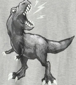 Boys Dino Long Sleeve Hoodie Tee BOY Sweaters