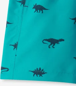 Best Boys Dino Silhouette Swim Trunks BOY Swimwear|Swimwear