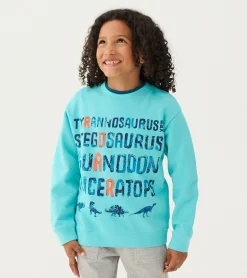 Outlet Boys Dinosaur Roar Sweatshirt BOY Sweaters