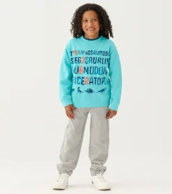 Outlet Boys Dinosaur Roar Sweatshirt BOY Sweaters