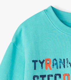 Outlet Boys Dinosaur Roar Sweatshirt BOY Sweaters