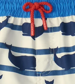 Online Boys Nautical Whale Swim Shorts BOY Swimwear|Swimwear