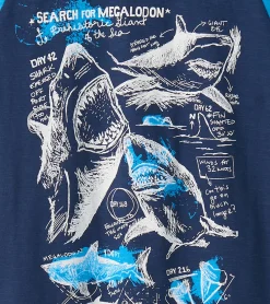 Boys Sharks Raglan T-Shirt BOY Tops