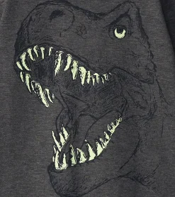 Online Boys T-Rex Glow in the Dark Long Sleeve T-Shirt BOY Tops