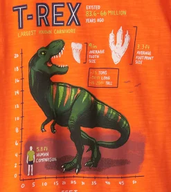 Best Boys T-Rex Graphic Tee BOY Tops