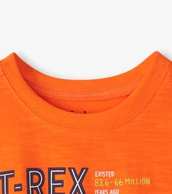 Best Boys T-Rex Graphic Tee BOY Tops