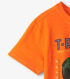 Best Boys T-Rex Graphic Tee BOY Tops