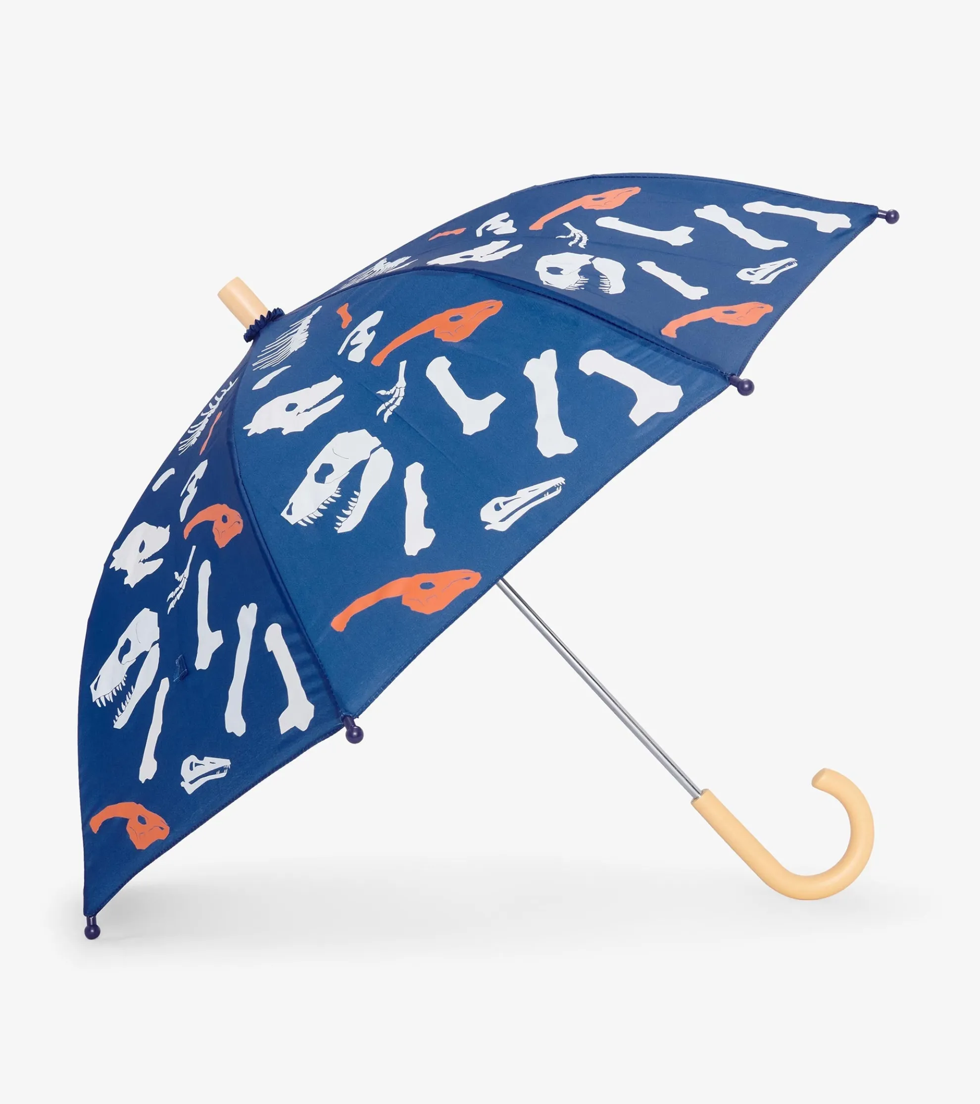 Online Dino Fossils Colour Changing Umbrella BOY Rainwear|Rainwear