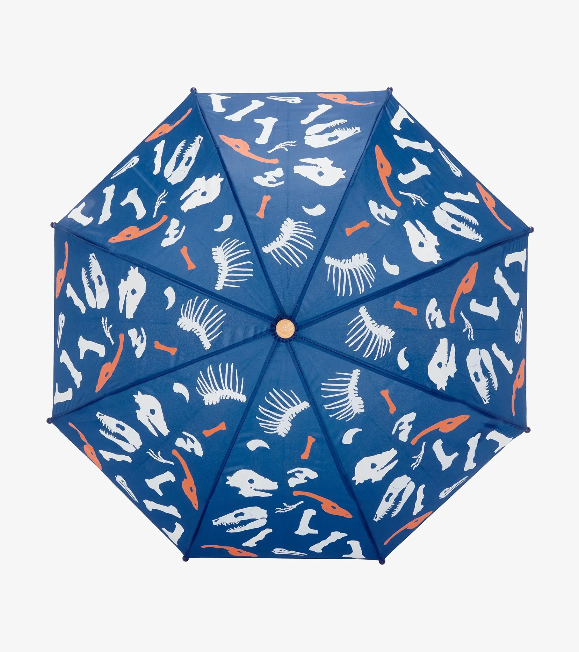 Online Dino Fossils Colour Changing Umbrella BOY Rainwear|Rainwear