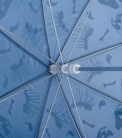 Online Dino Fossils Colour Changing Umbrella BOY Rainwear|Rainwear