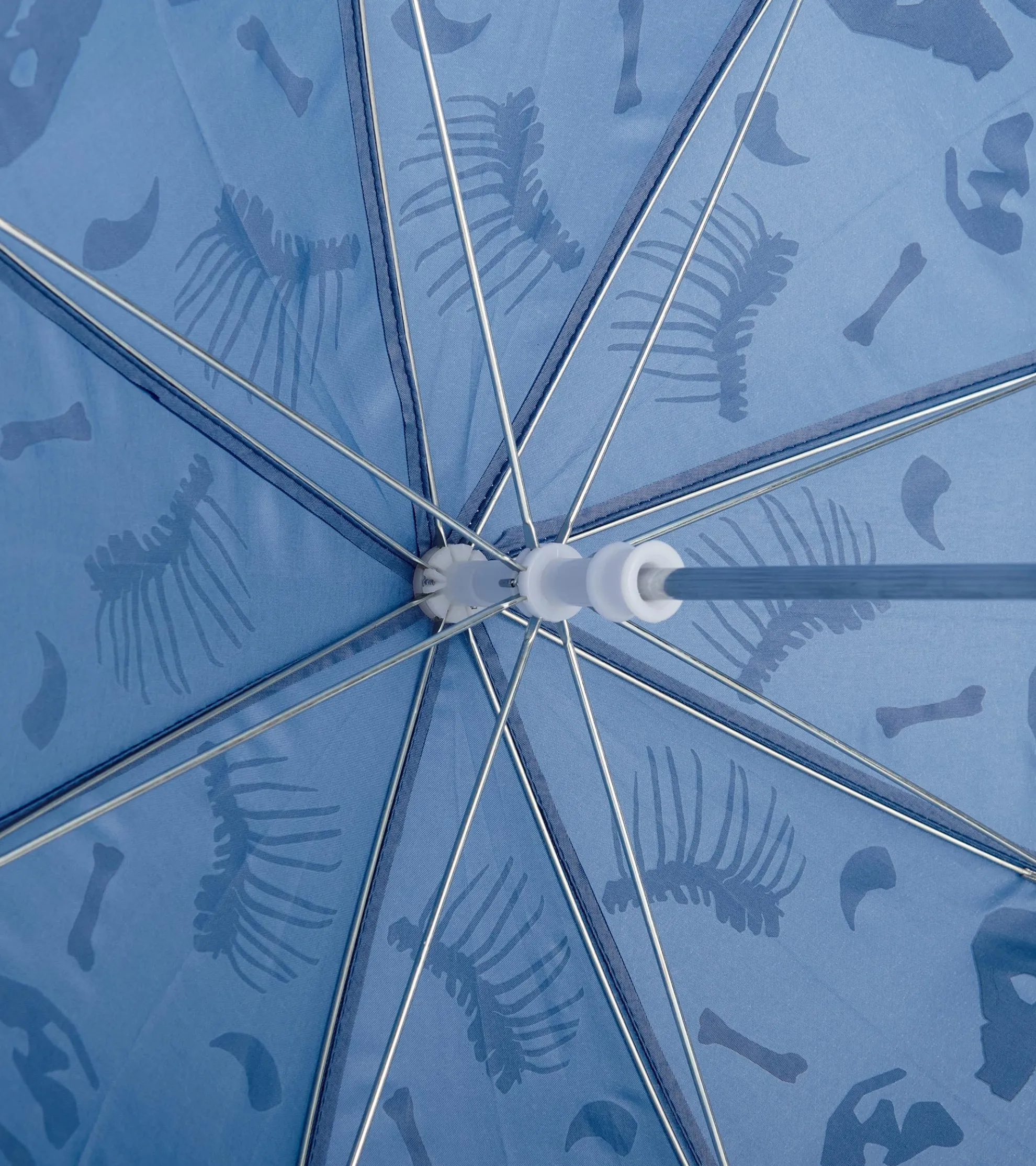 Online Dino Fossils Colour Changing Umbrella BOY Rainwear|Rainwear