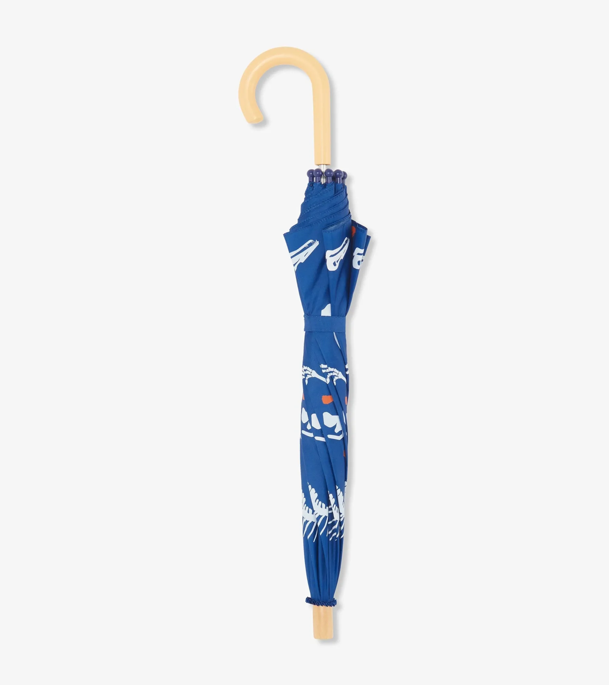 Online Dino Fossils Colour Changing Umbrella BOY Rainwear|Rainwear