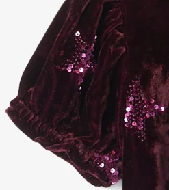 Clearance Girls Sequin Stars Velvet Dress Dresses