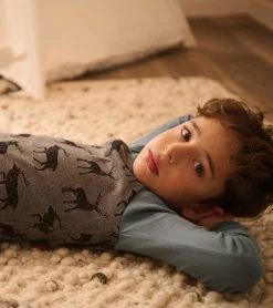 Outlet Magestic Elks Raglan Kids Organic Cotton Pajama Set BOY Sleepwear|Sleepwear